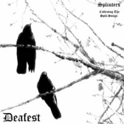 Deafest : Splinters: Collecting the Split Songs